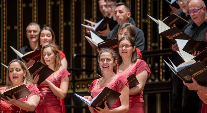 Nemzeti Együttes lett ismét a Nyíregyházi Cantemus Kórus