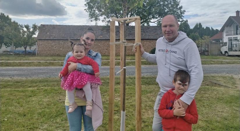 Fákat ültettek az újszülöttek emlékére a kis vasi faluban