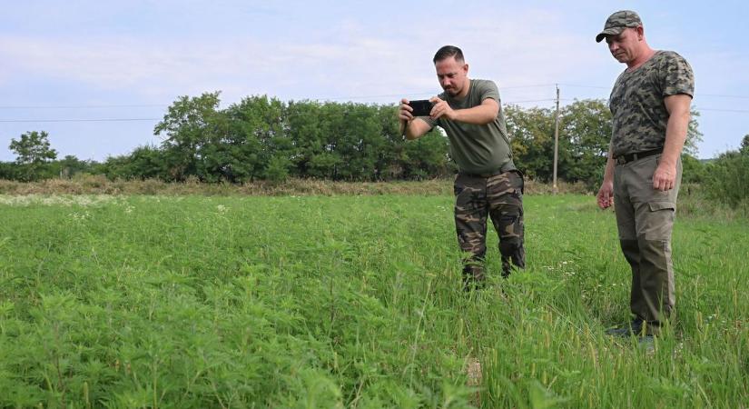 Ezeken a településeken csap le a Földhivatal Hevesben: durva bírság fenyeget, ha ezt elmulasztod!