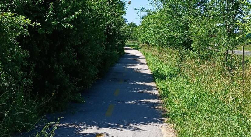 Kiakadtak a lakók: a helyzet már tarthatatlan, nagy a kullancsveszély