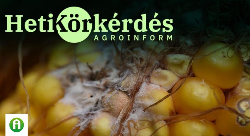 Halaszthatatlan beavatkozások a szántóföldeken – Heti Körkérdés
