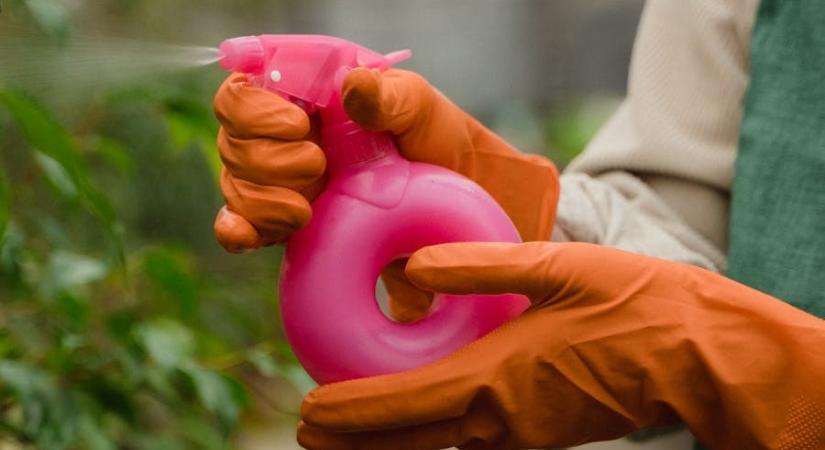 Frusztrált vagy a kerti kártevők miatt? Íme 3 bombahatású természetes fegyver ellenük