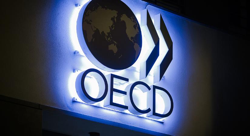 Az egész világot bedönthetik Trump vámjai, az OECD csúnya jövőt jósol