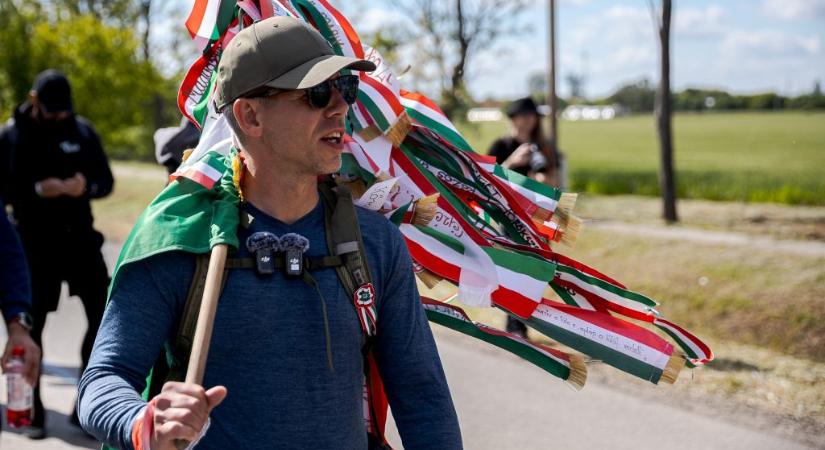 Megsokszorozta nyereségét Magyar Péter tanácsadó cége