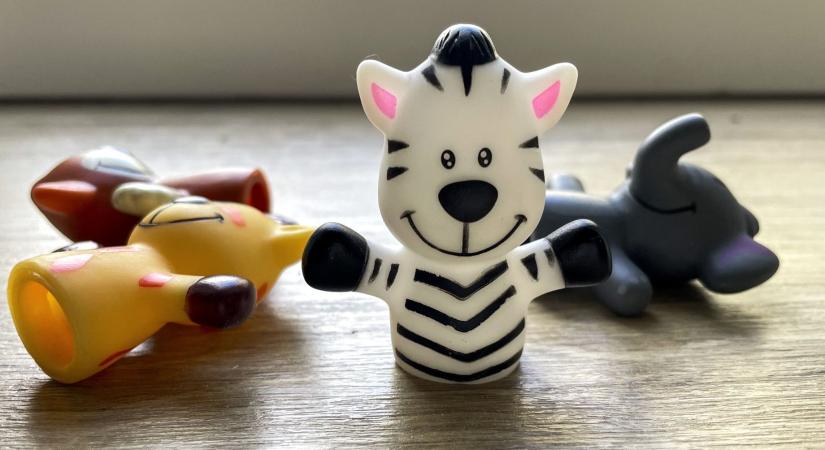 Je suis kicsi zebra!