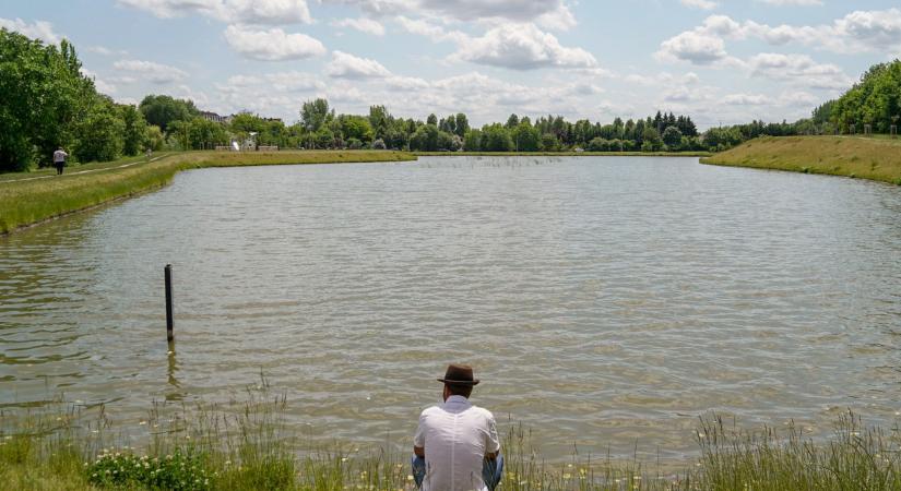 Debrecen versenyben a zöld fővárosi címért