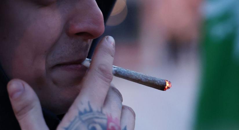 Németország után Csehország is legalizálta a kannabiszt