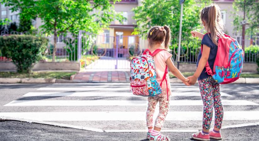 Elindult az idei okoszebra-szavazás, döntsünk együtt a gyerekek biztonságáról! Bajai zebra is versenyben van