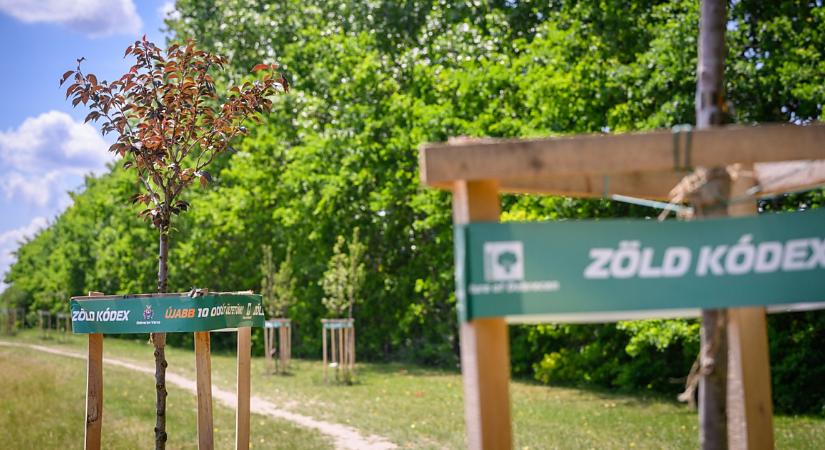 Debrecen a környezetvédelemben és a gazdaságfejlesztésben is a TOP 10-ben – fotókkal