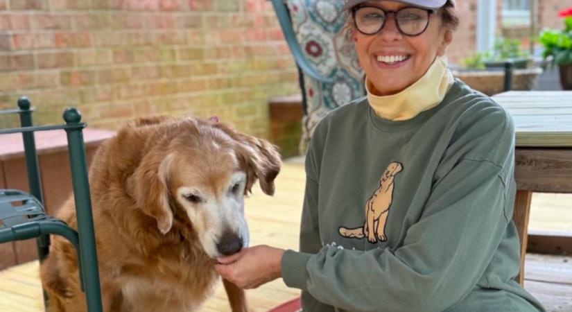 Idős golden retrievert fogad örökbe a pár: amit a kutya tesz, azon milliók nevetnek - Videó