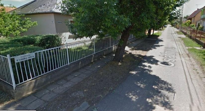 Különleges állat szabadult el Debrecenben, errefelé kóborol