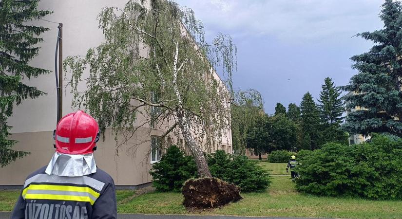 Lecsapott a vihar Körmendre és térségére: hússzor riasztották a tűzoltókat - fotók, videók