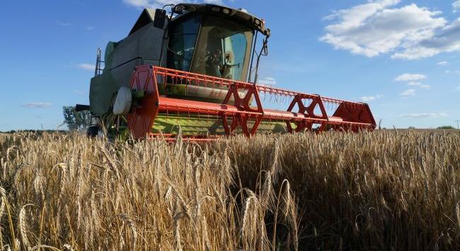 Ukrajna gabonatermése idén 10 százalékkal csökkenhet – agrárpolitikai miniszter