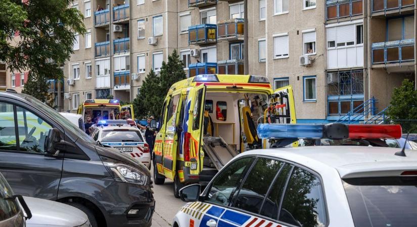 Szörnyű ordítás után véres dráma, saját anyját szurkálta szét a férfi a lakótelepen