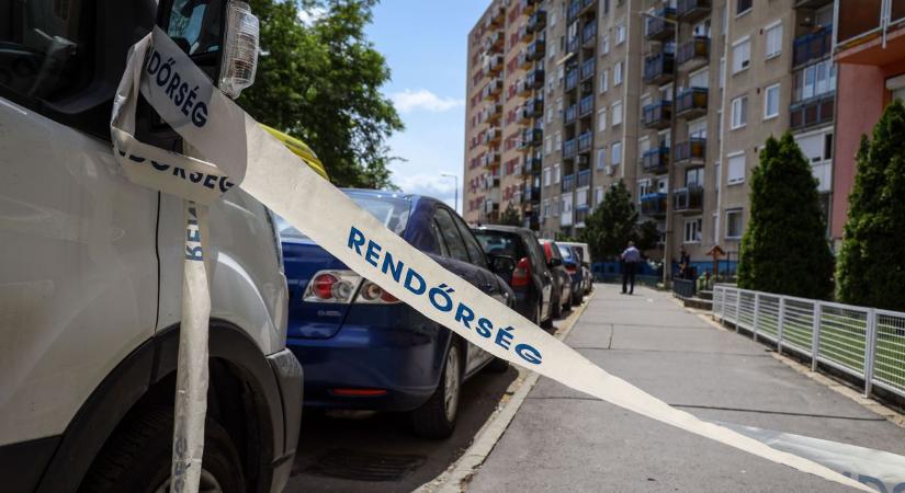 Megvan az indíték? Kiderült, miért szurkálta meg az anyját az ámokfutó férfi Szolnokon – videóval