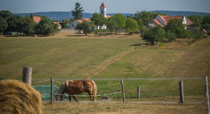 Fúrt kutak bejelentése: a magyarok fele bajban van, mert ellenszegül - súlyos bírságot kockáztatnak