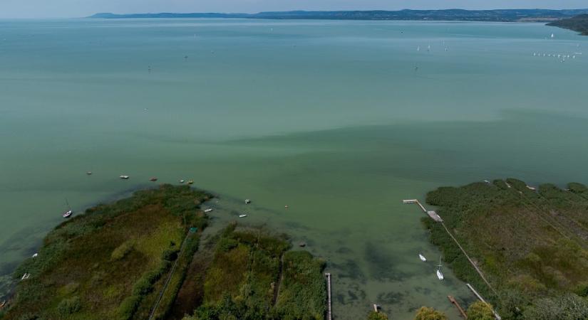 Brutális felmelegedés zajlik a Balatonban, az egész tó átalakulóban van