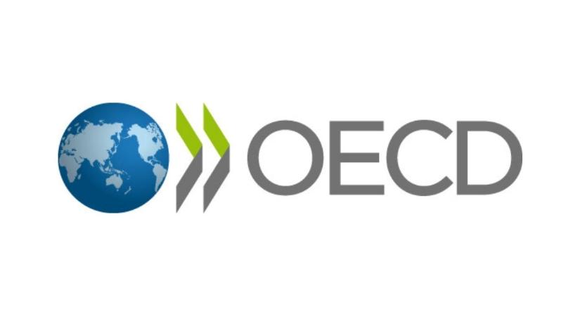 Hurezeanu: Románia eltökélt, hogy 2026-ra lezárja OECD-csatlakozását