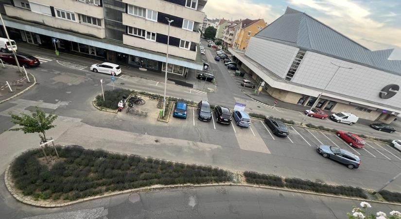 Szedd magad levendula szüretet tartanak szombaton a szombathelyi belvárosban