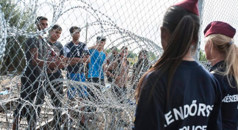 Bakondi György: Növekszik a migrációs nyomás a szerb-magyar határon