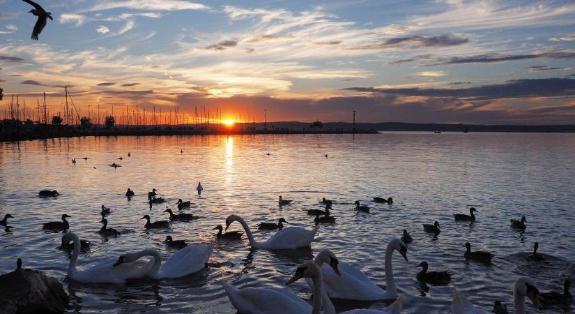 Rendkívüli hír jött a Balatonról, magyarok millióit fogja letaglózni ez