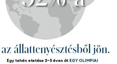 130 balatonnyi víz