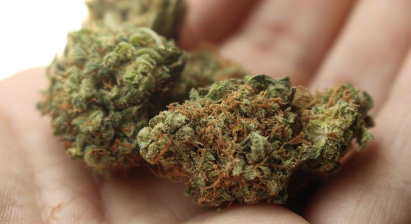 A romló droghelyzet ellenére döntöttek a legalizáció mellett Csehországban