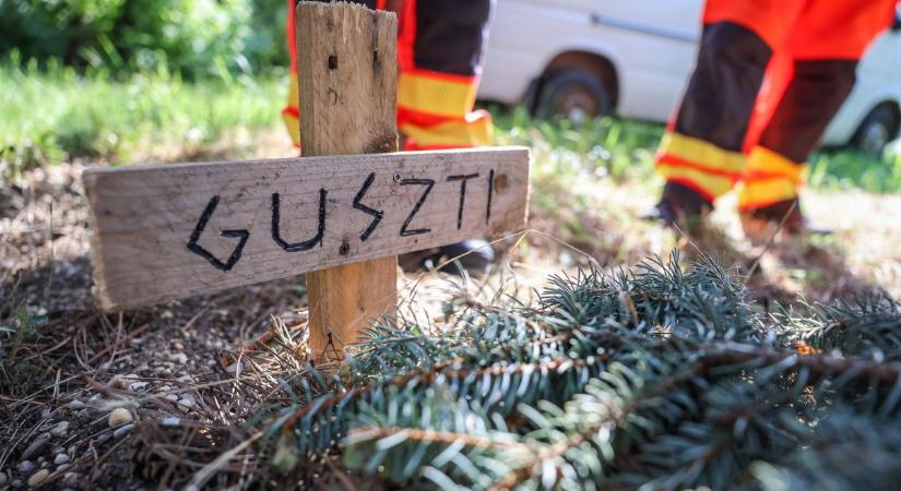 Guszti lelke örökre a mentősök szívében dorombol - cicájuk két fenyő alatt kapott végső nyughelyet