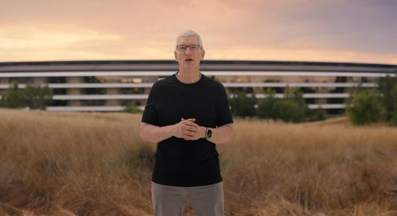 Nekimegy az Apple az Európai Unió döntésének, 201 milliárd a tét