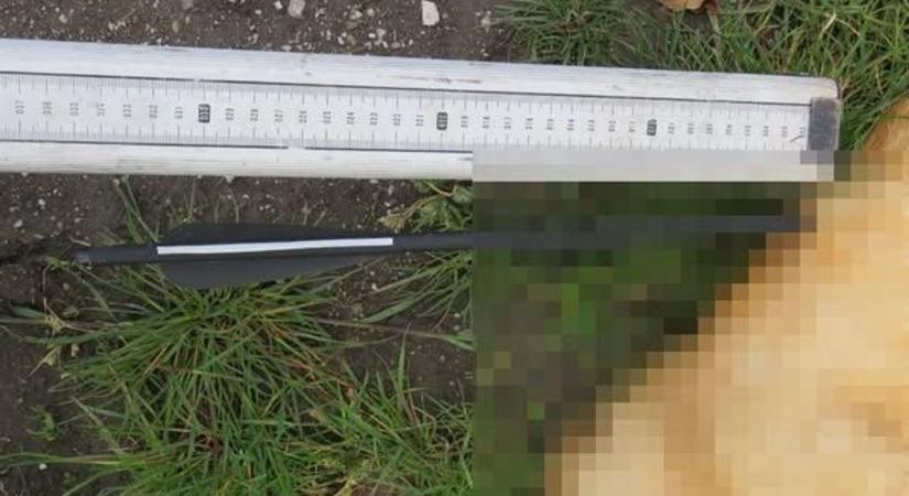 Nyílpuskával gyilkolt a mezőkövesdi férfi