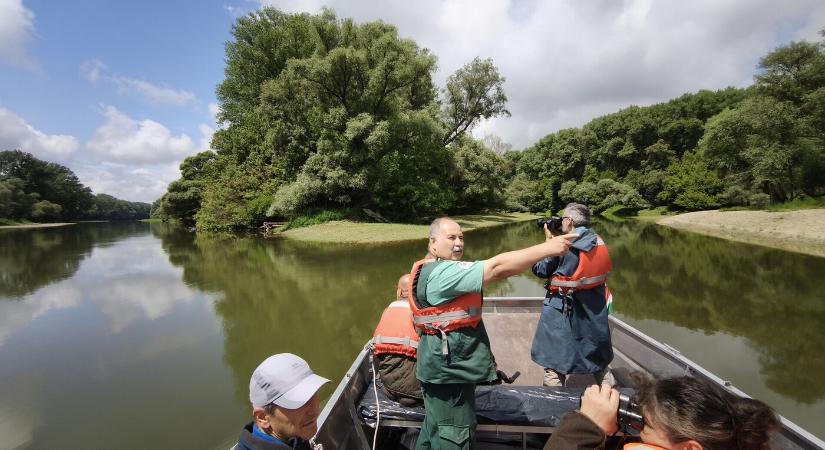 Vízi paradicsom teremtődött az Erebe-szigeteknél – szlovákiai természetvédők is segítettek (fotók és videó)