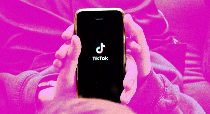 Változik a TikTok Neked hírfolyama, könnyebb lesz beállítani az érdeklődési köröket