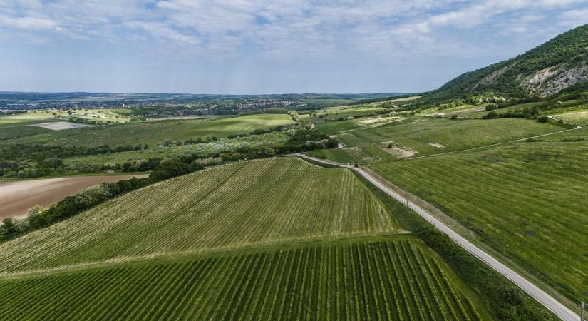 Kerékpárút kanyarog a Vértesben, egészen fel a dobogóig