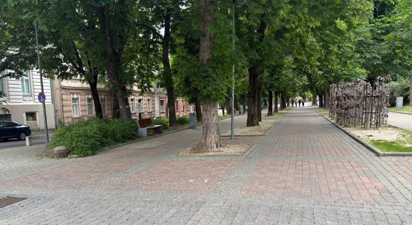 Különös titkokat rejteget Pécs – minden lakat egy történet – VIDEÓ