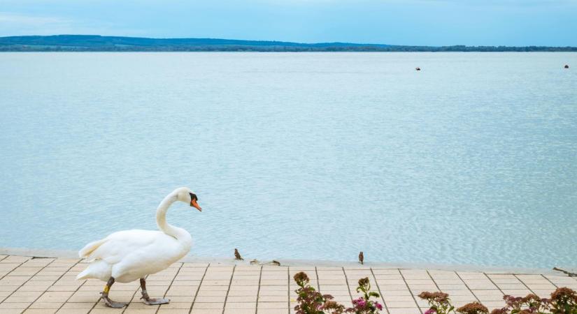 Meleg helyzet a Balatonnál: soha nem tapasztalt hőmérsékleti rekordok!