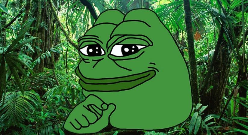 Így navigáltunk a mémcoinok dzsungelében: 10 kereskedés a Kripto Akadémia Discord csatornájáról