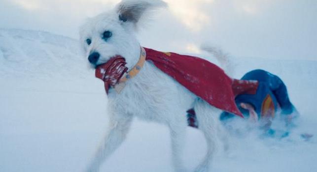 James Gunn is beszáll a Krypto bizniszbe, sorozatot kap Superman hűséges társa