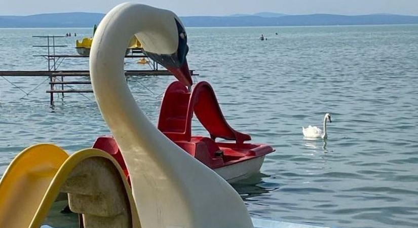 Most nagy a veszély a Balatonban, terjed a pestis a vízben