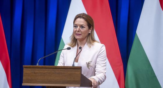 Kormányszóvivő: Van, aki folyamatosan sír és picsog az önkormányzati vezetők közül