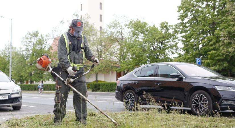 Gőzerővel keresik a "kavicsos csalók" további áldozatait a rendőrök