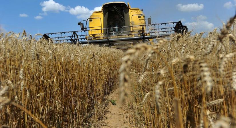 Ukrajna gabonatermése idén 10 százalékkal csökkenhet – agrárpolitikai miniszter