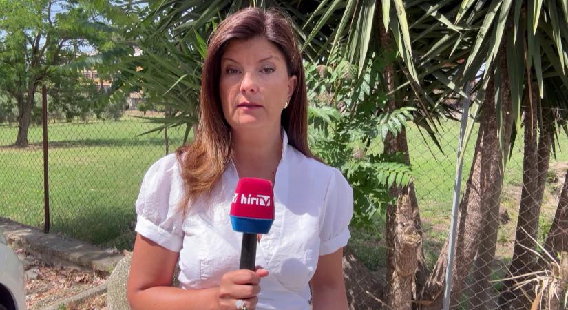 Palesztinpárti tüntetéseket szervez az olasz baloldal  videó