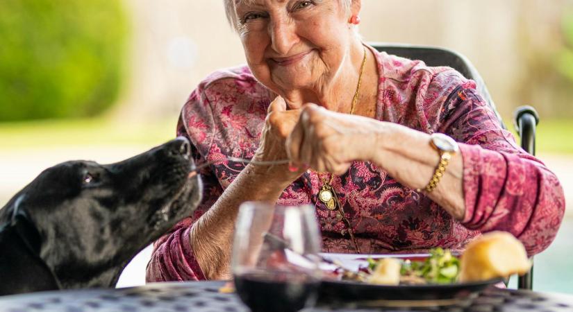 7 élelmiszer, amire 60 éves kor fölött mindenképpen szükségünk van nyáron
