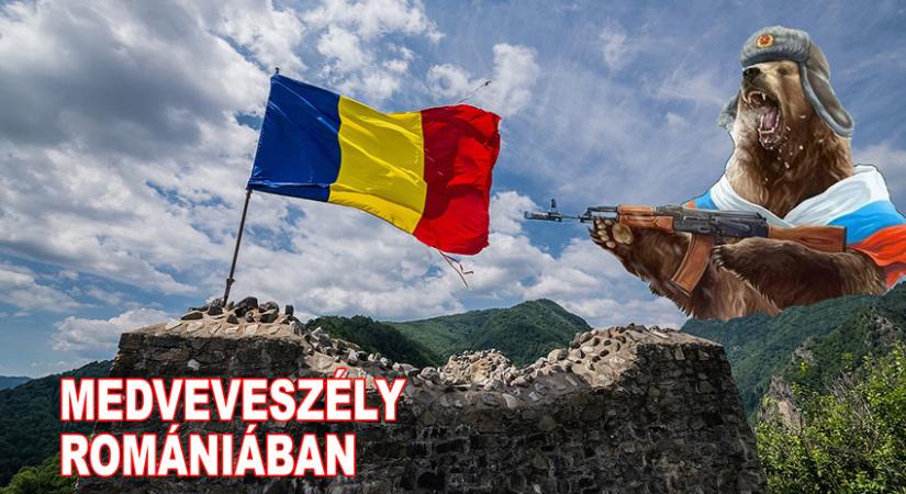 „Medveveszély” Romániában