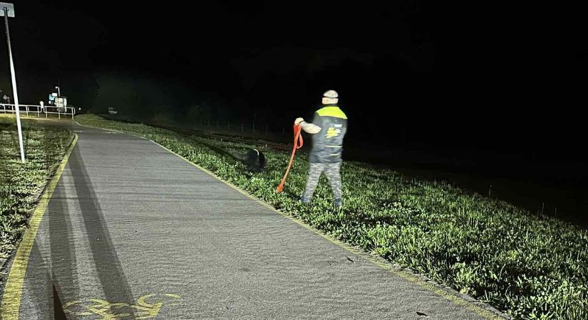 Eltűnt egy idős bácsi, kutyával keresték az éjszaka