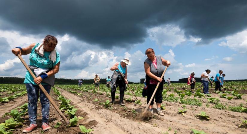 Meddig maradnak nálunk az ázsiai munkavállalók?