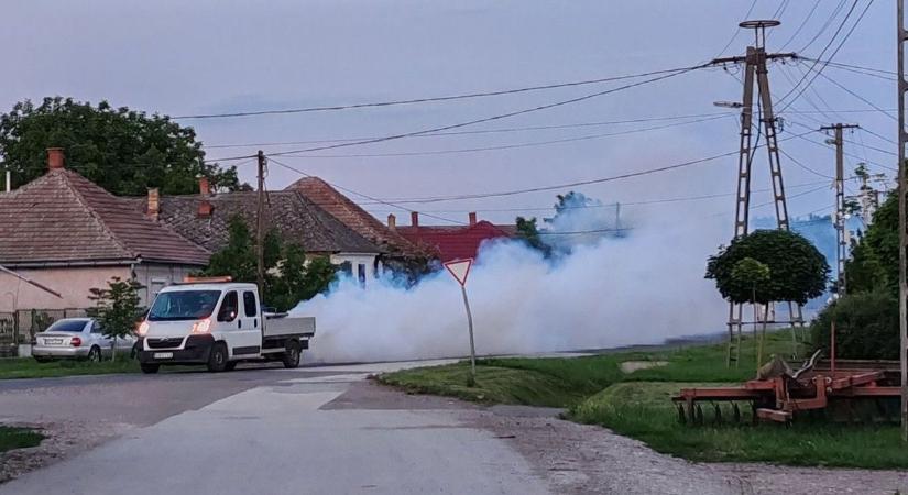 Ne ijedjen meg, ha ilyet lát a lakóhelyén, sőt, örüljön neki!