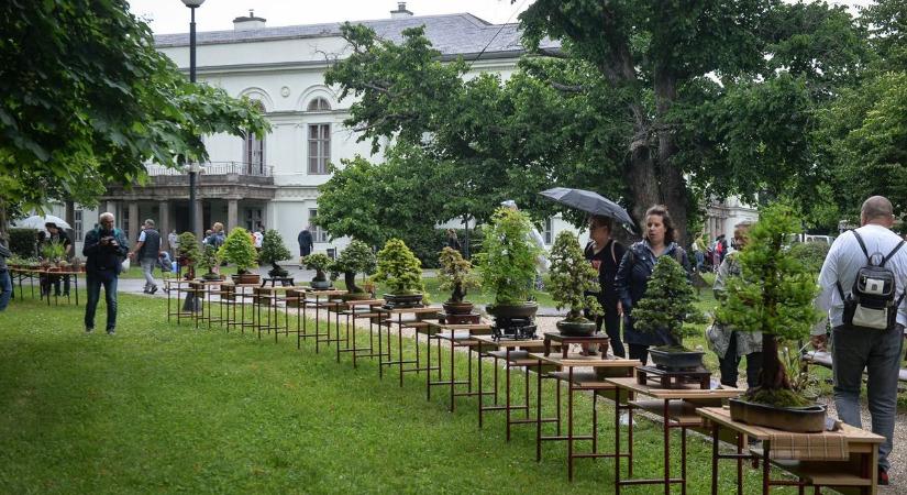 Mindent a szemnek, semmit a kéznek! - veszélyes húsevők jönnek Hevesbe