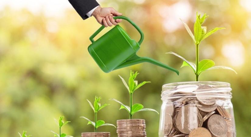 A szélsőségek éve jön – időjárás és gazdasági nyomás alatt a mezőgazdaság