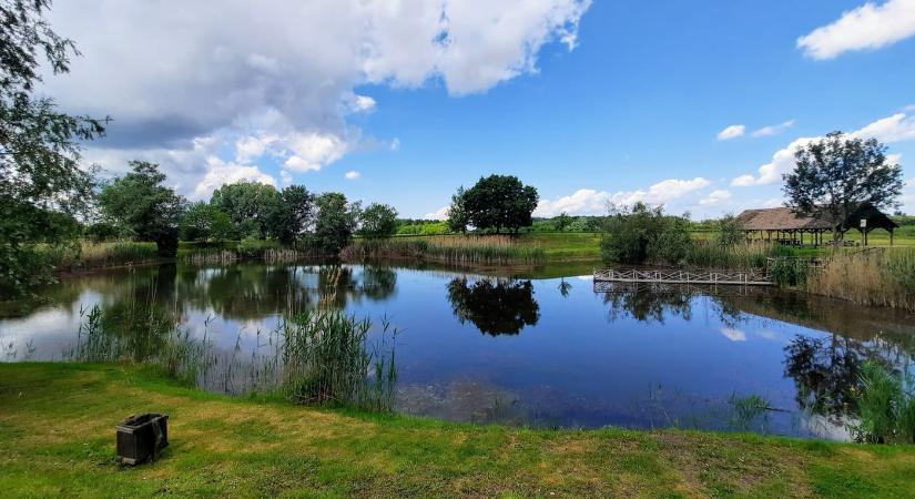Hétöles-tó Szaporcán – A Duna–Dráva Nemzeti Park rejtett gyöngyszeme